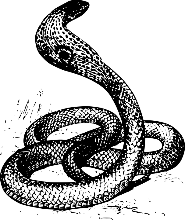 Snake Oil by Gadget man Logo